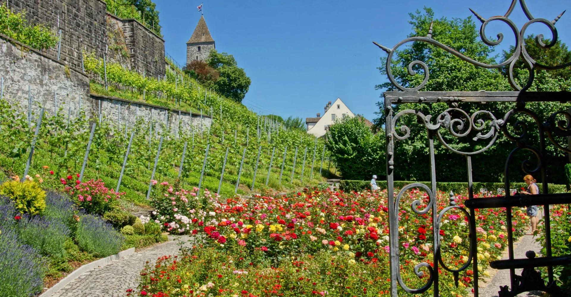 Entrance gate to the rose garden in Rapperswil near the castle