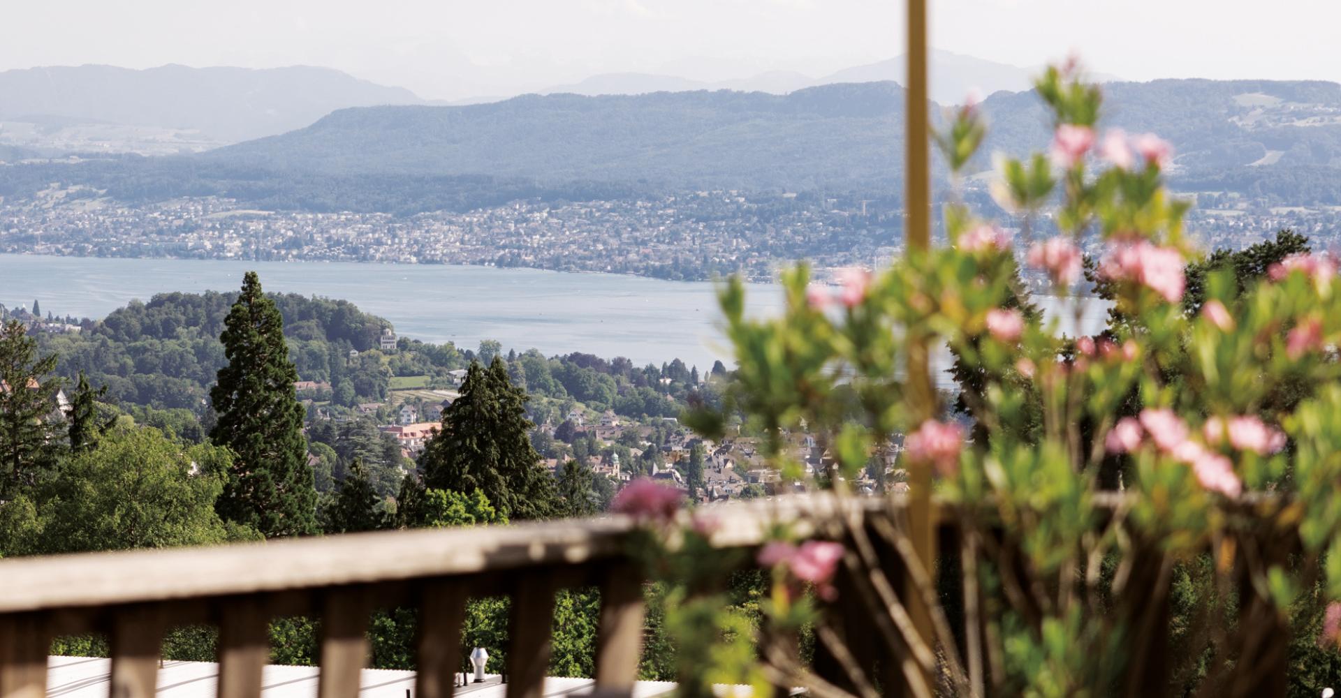 Aussicht von der Terrasse des Hotels Zürichberg