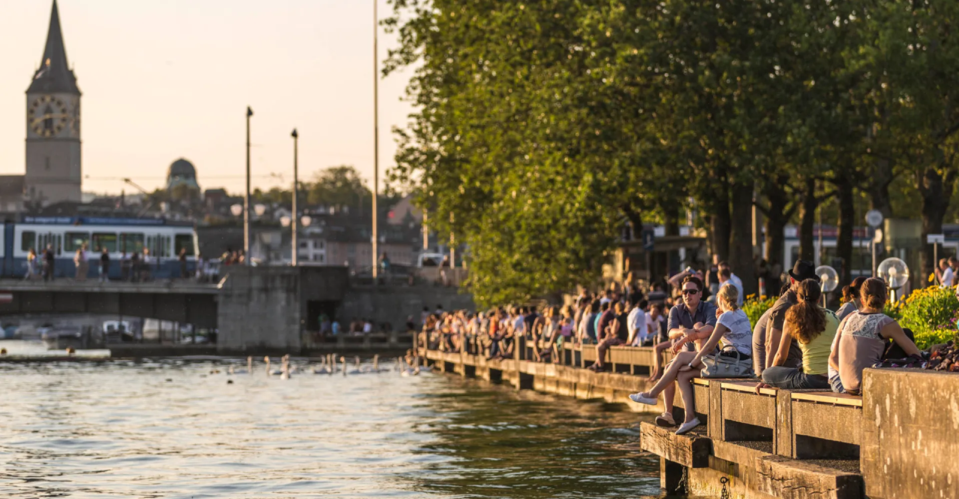 Aufnahme der Zürcher Seepromenade im Sommer