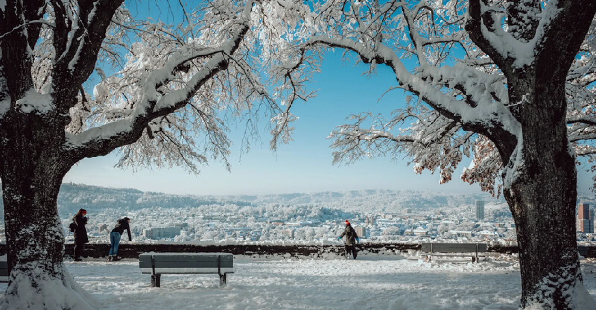 View from Goldenberg