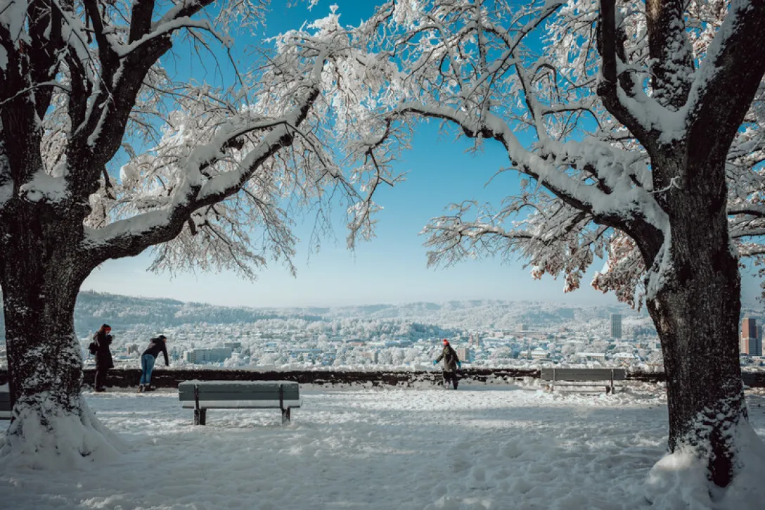 Aussicht vom Goldenberg
