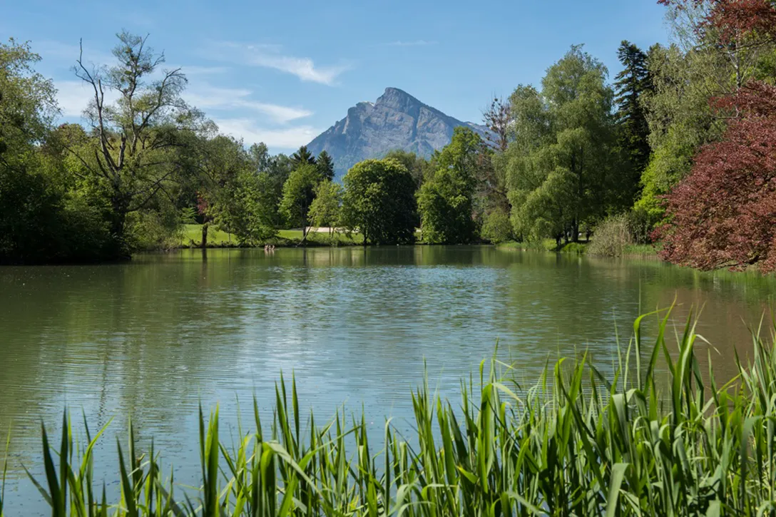 Bergsee mit Alpenpanorama