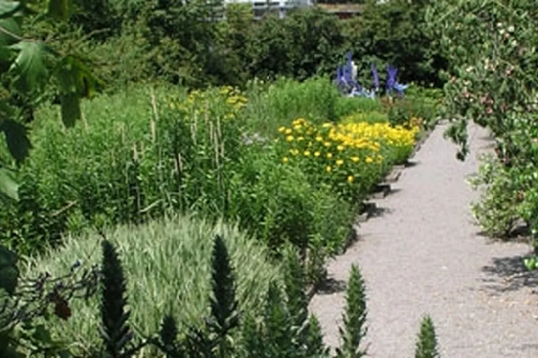 Botanischer Garten in St. Gallen