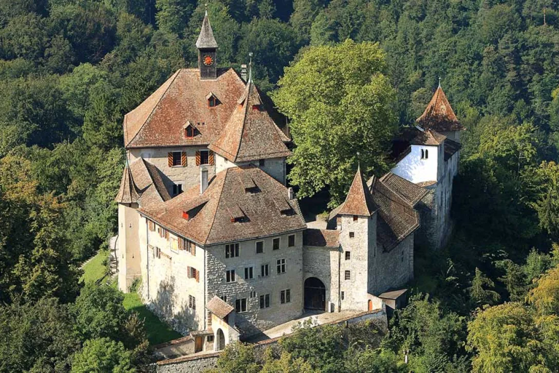Schloss zwischen Bäumen und Wäldern