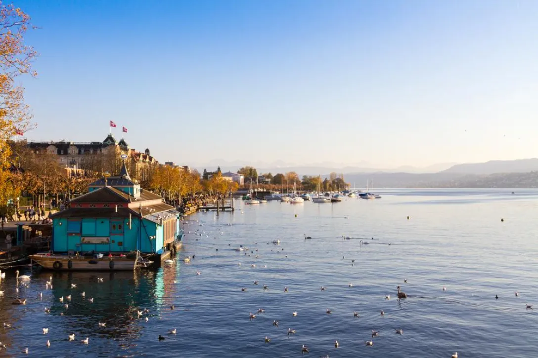 Blick auf den Zürichsee mit viele Enten und einem Haus