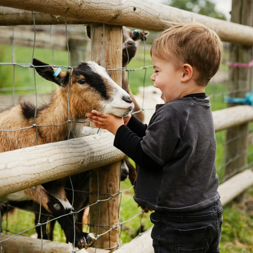 Kleiner Junge mit einer Ziege
