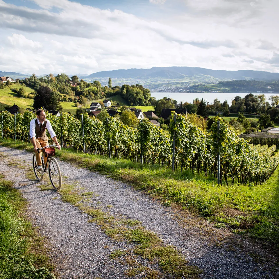 Person riding a bicycle in Rapperswil