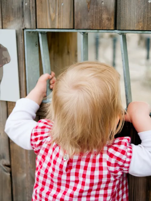 Child looks through a gate into the elephant enclosure
