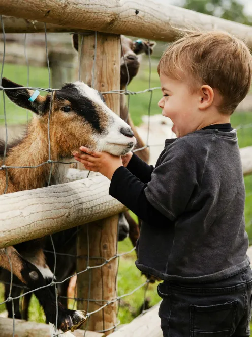 Little boy with a goat