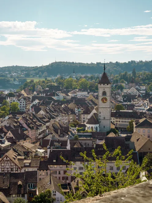View over the city of Schaffhausen
