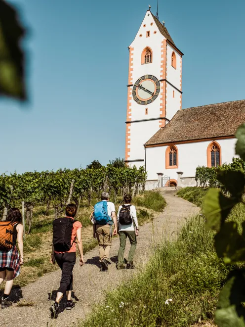 A group hiking in the nature of Hallau