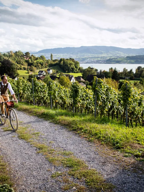 Person fährt Velo in Rapperswil