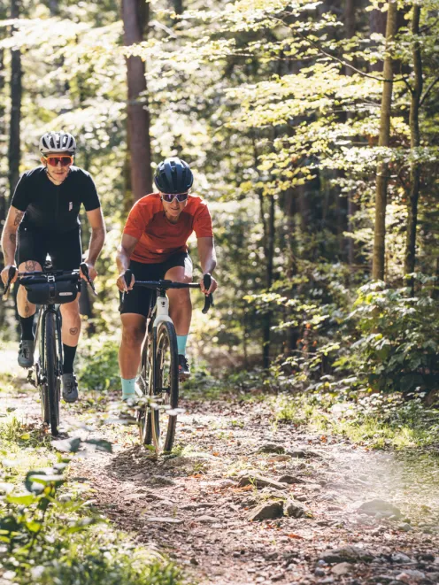 Aktivitäten im Wald mit dem Fahrrad 