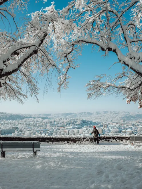 View from Goldenberg